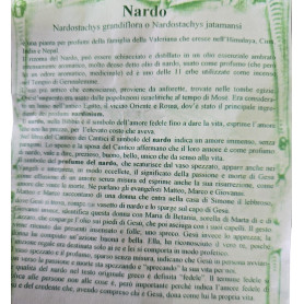 Olio Di Nardo della Terra Santa