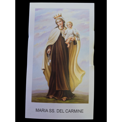 Immagini Madonna del Carmine / Monte Carmelo pz. 100