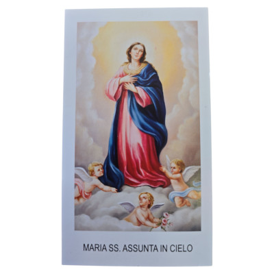 Immagini Maria SS. Assunta in Cielo - Conf. 100pz
