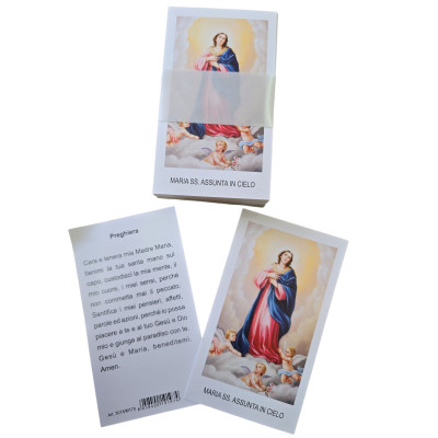 Immagini Maria SS. Assunta in Cielo - Conf. 100pz