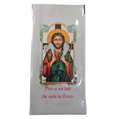 Bustine per Palme, confezione 200 pz (Mod. I114)