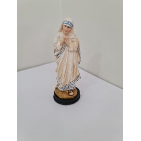 Madre Teresa di Calcutta